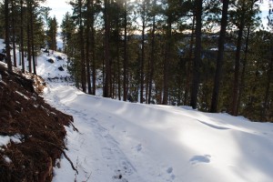 trail to the grave of Seth Bullock Deadwood SD