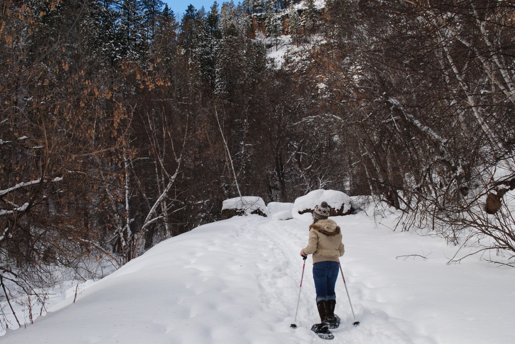 Snowshoeing Iron Creek Spearfish Canyon