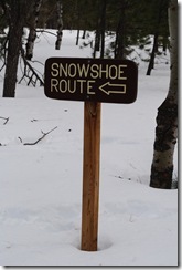 Marked trails on Big Hill Trail