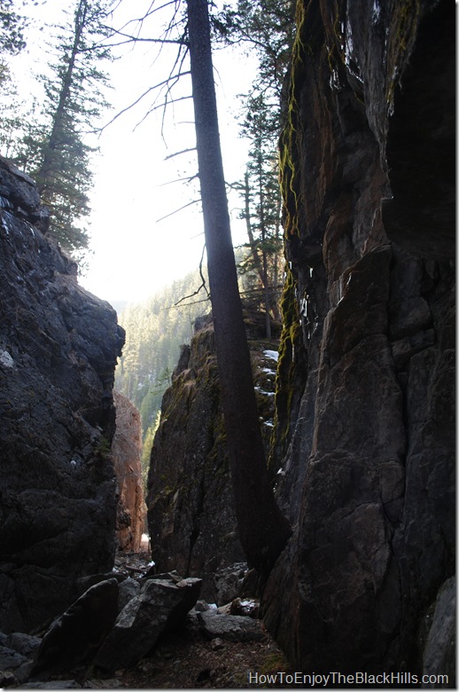 11th Hour Gulch, near mile marker 20 in Spearfish Canyon image 11th hour gulch black hills south dakota