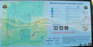 Trail Map of M Hill in Rapid City