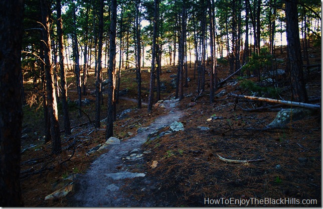 Just a little piece of the more than 20 miles of trails in the 300 acre HLMP park in Rapid City SD image HLMP park in Rapid City SD