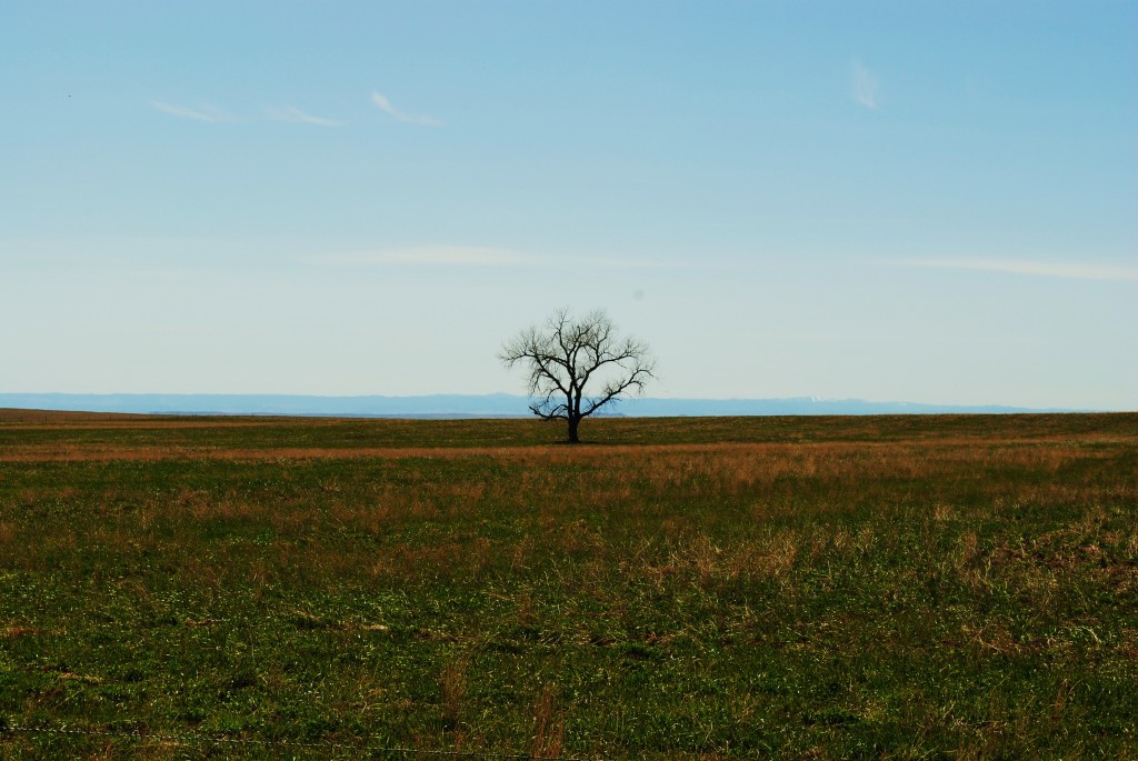 photo of the black hills from Union Center South Dakota