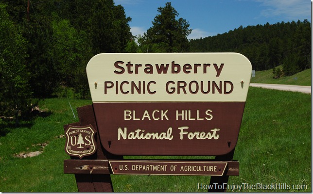 photo Strawberry Picinic Area Black Hills National Forest