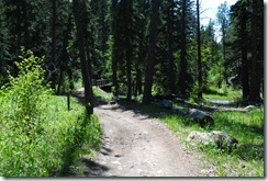 photo Centennial Trail near the Boxelder Creek Trailhead, Nemo SD.