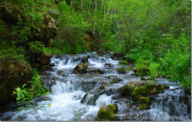 Hike along the beautiful Iron Creek. Find it in Spearfish Canyon, just one of the many great hikes in the Black Hills National Forest. photo Iron Creek Spearfish Canyon South Dakota