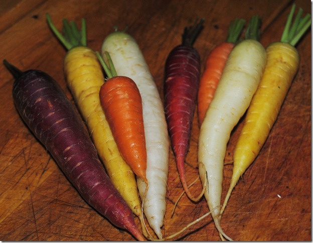 photo colorful carrots