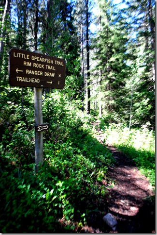 Little Spearfish Trail - Black Hills National Forest