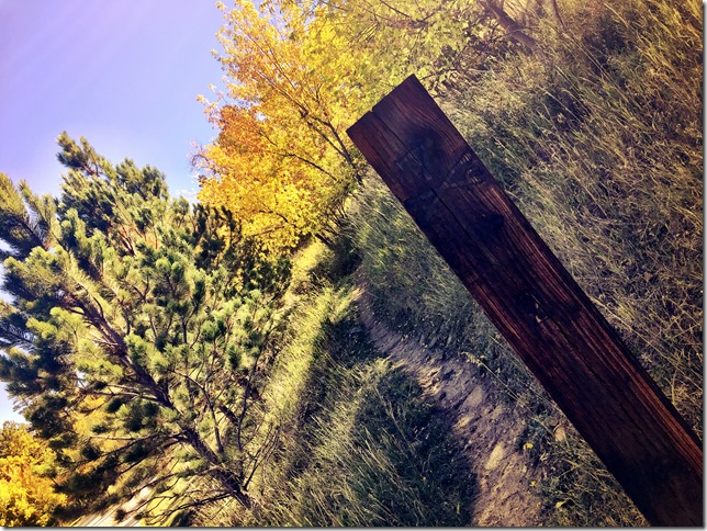 lyons park trailhead 7th Cavalry Trail